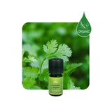 Alambika Coriander Seed Organic Essential Oil