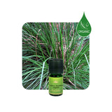 Alambika 有機波旁岩蘭草精油 Vetiver Bourbon Organic Essential Oil