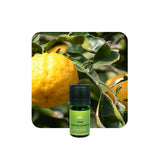 Alambika Yuzu (Japan) Wild-Grown Essential Oil