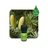 Alambika 野生有機大西洋雪松精油 Cedarwood Atlas Wild Organic Essential Oil