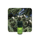 Alambika Cedar (Himalayan cedar) Wild Essential Oil