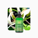 Alambika Champaca White Floral Water