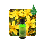 Alambika 20% 有機聖約翰草浸泡油 St John Wort Infused Olive