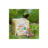 100% 全天然肉桂塔香 Cinnamon incense cone (100% Certified Natural)
