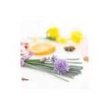 法國全天然檸檬草安息香微煙線香 Lemongrass and Benzoin Incense Stick (100% certified natural)
