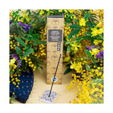 法國直送連香樹線香 (附線香碟) Katsura Incense Stick (with holder)