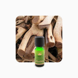Alambika 野生阿米香樹(西印度檀香)精油 Amyris Wild Essential Oil