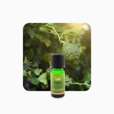 Alambika Bergamot Organic Essential Oil