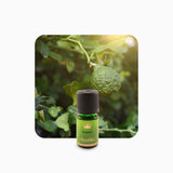 Alambika Bergamot Organic Essential Oil