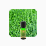 Alambika 野生有機冬季香薄荷精油 Winter Savory Wild Organic Essential Oil