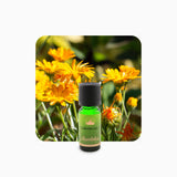 Alambika 金盞花 (CO2) 精油(固體狀) Calendula CO2 Essential Oil (solid)