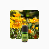 Alambika 金盞花 (CO2) 精油(固體狀) Calendula CO2 Essential Oil (solid)