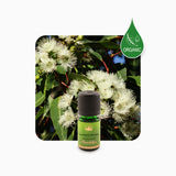Alambika Eucalyptus Lemon Organic Essential Oil