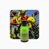 Alambika Eucalyptus Radiata wild organic Essential Oil(Ori.:Australia)