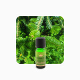 Alambika Siberian Fir Wild Essential Oil