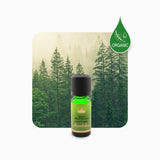 Alambika Black Spruce Wild Organic Essential Oil