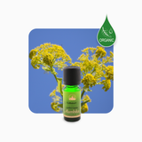 Alambika Galbanum Wild Organic Essential Oil