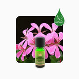 Alambika Geranium Rosat Essential Oil