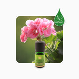 Alambika 玫瑰天竺葵精油 Geranium Rosat Essential Oil