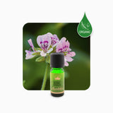 Alambika Geranium Bourbon Essential Oil