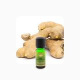 Alambika Ginger Cassumunar (Plai) Essential oil