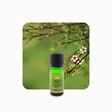 Alambika 野生卡奴卡精油 Kanuka Wild Essential oil