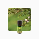 Alambika 野生卡奴卡精油 Kanuka Wild Essential oil