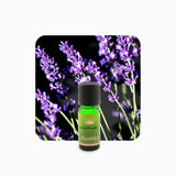 Alambika Lavandin Sweet Super Organic Essential Oil