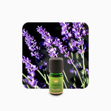 Alambika Lavandin Sweet Super Organic Essential Oil