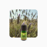 Alambika 喀什米爾薰衣草精油 Cashmere Lavender Essential Oil