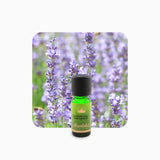 Alambika Lavender Highland Superior Wild Organic Essential Oil