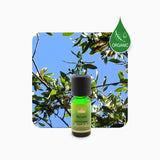 Alambika Bay Laurel Wild Organic