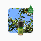 Alambika Bay Laurel Wild Organic