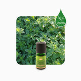 Alambika 有機甜馬鬱蘭精油 Marjoram Sweet Organic Essential Oil