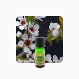 Alambika Manuka Wild Essential Oil