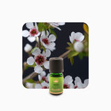 Alambika Manuka Wild Essential Oil