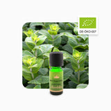Alambika Peppermint Organic Essential Oil