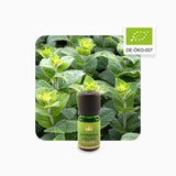 Alambika Peppermint Organic Essential Oil