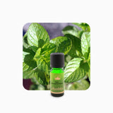 Alambika Lemon Mint (Bergamot Mint) Essential Oil