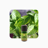 Alambika Lemon Mint (Bergamot Mint) Essential Oil