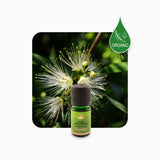 Alambika 有機檸檬香桃木精油 Lemon Myrtle Organic Essential Oil