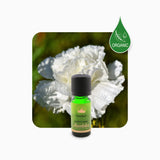 Alambika Clove Bud Organic Essential Oil