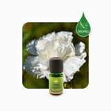 Alambika Clove Bud Organic Essential Oil
