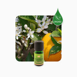 Alambika Petitgrain Bigarade Organic Essential Oil