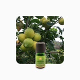 Alambika Petitgrain Lemon Essential Oil