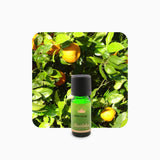 Alambika Bitter Orange Wild Organic Essential Oil