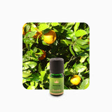 Alambika Bitter Orange Wild Organic Essential Oil