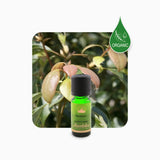 Alambika 有機野生羅文沙葉精油 Ravintsara Wild Organic Essential Oil