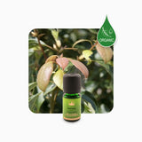 Alambika 有機野生羅文沙葉精油 Ravintsara Wild Organic Essential Oil