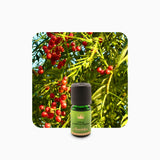 Alambika Pepper Pink Wild Essential Oil